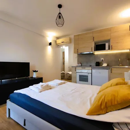 Ziebicka 2 Apartment Poznan